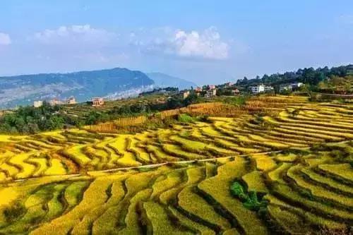 市场丨“大乡村旅游时代”,到底有多大