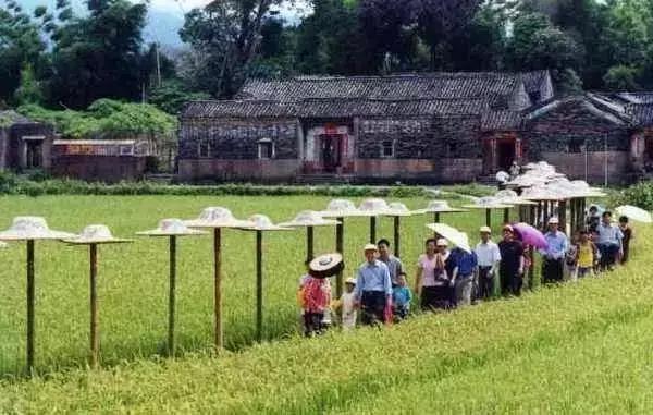 市场丨“大乡村旅游时代”,到底有多大